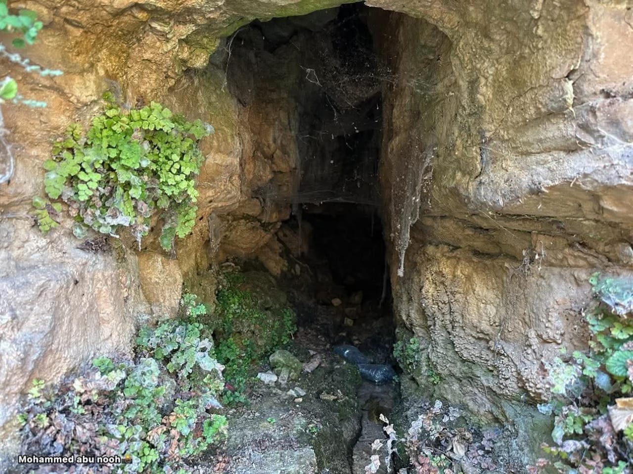 رام الله | موسوعة القرى الفلسطينية